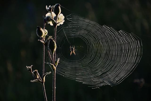 Chyby, na které si dávat pozor při lezení a jak je odstranit