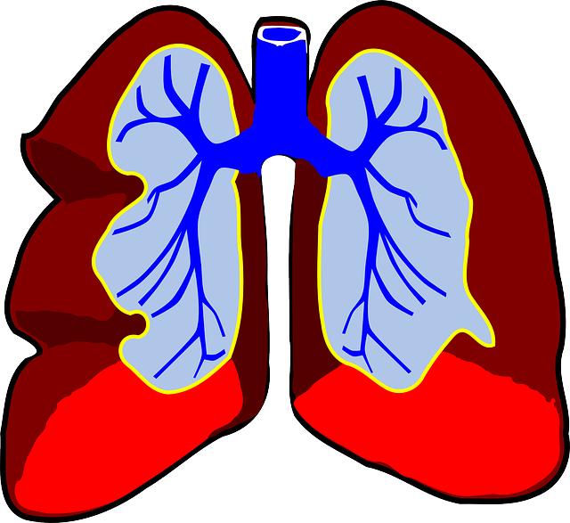 Techniky dýchání pro efektivní výkon